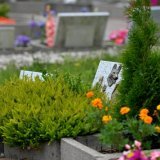 A Genève, une initiative législative cantonale est lancée pour la création d'un jardin du souvenir pour les animaux de compagnie, tel qu'il en existe un à Lausanne (archives). KEYSTONE/DOMINIC FAVRE